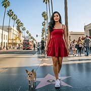 Chihuahua-