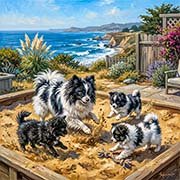pomeranian-