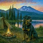 rottweiler-