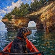 rottweiler-